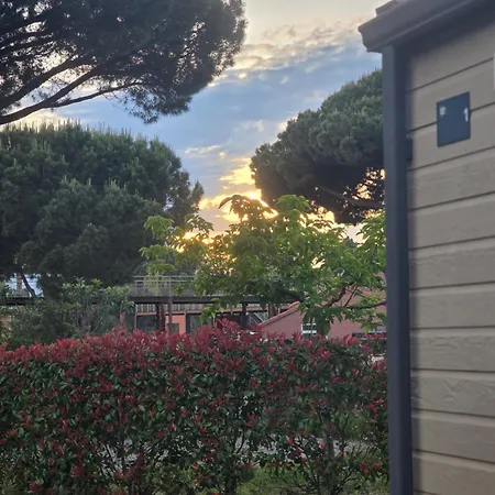 Campingplads Du Pas Del Fang 4*